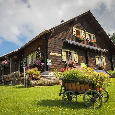 Ferienhof Schelchen Hollenstein an der Ybbs Buitenkant foto
