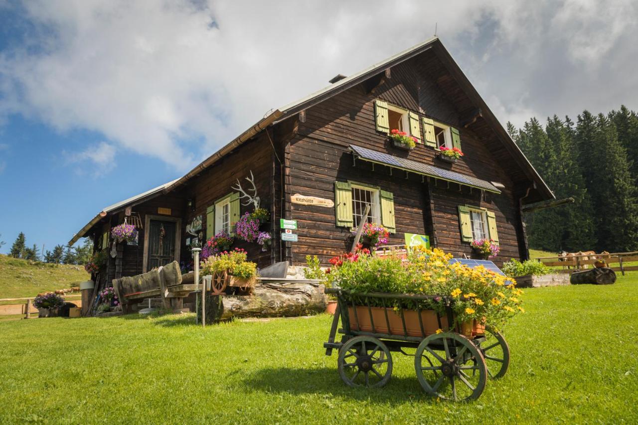 Ferienhof Schelchen Hollenstein an der Ybbs Buitenkant foto
